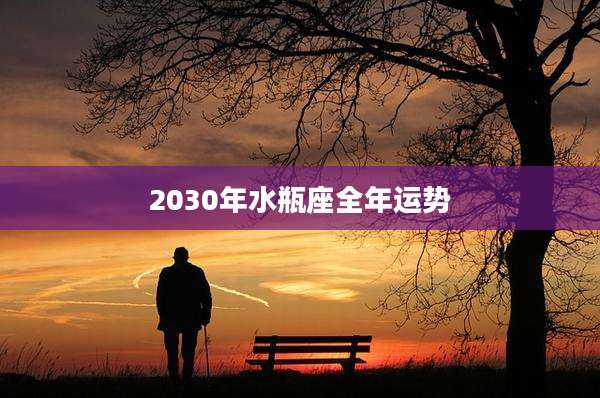 2030年水瓶座全年运势