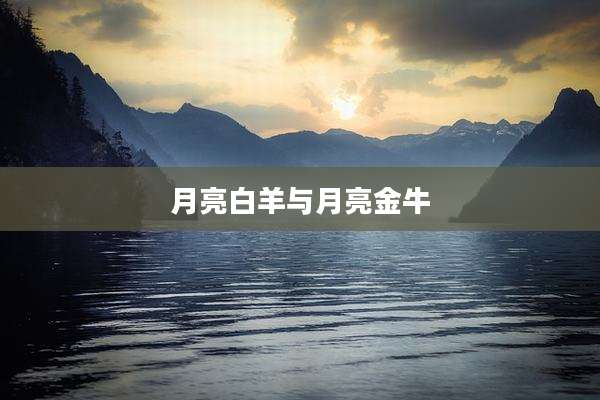月亮白羊与月亮金牛
