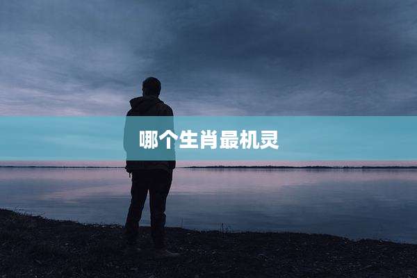 哪个生肖最机灵