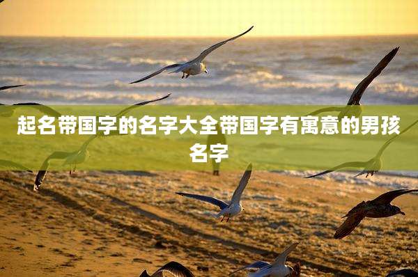 起名带国字的名字大全带国字有寓意的男孩名字
