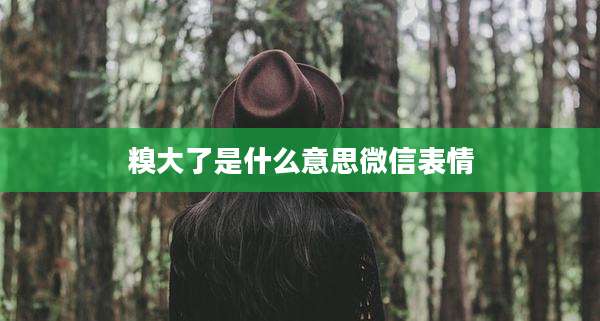 糗大了是什么意思微信表情