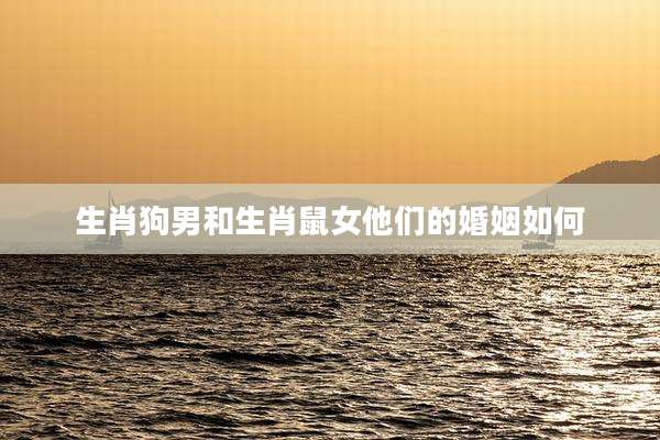 生肖狗男和生肖鼠女他们的婚姻如何