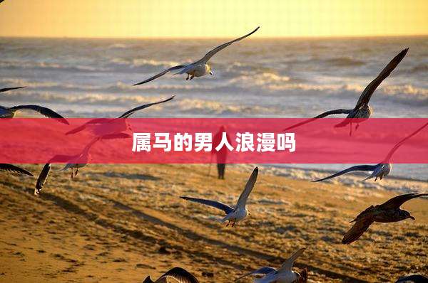 属马的男人浪漫吗