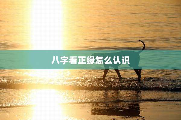 八字看正缘怎么认识