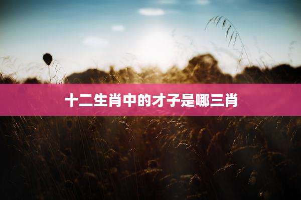 十二生肖中的才子是哪三肖