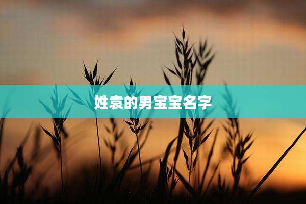 姓袁的男宝宝名字
