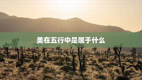 美在五行中是属于什么