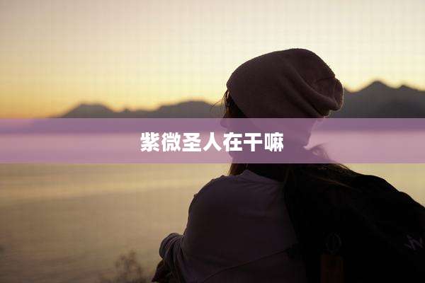 紫微圣人在干嘛