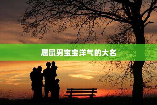 属鼠男宝宝洋气的大名