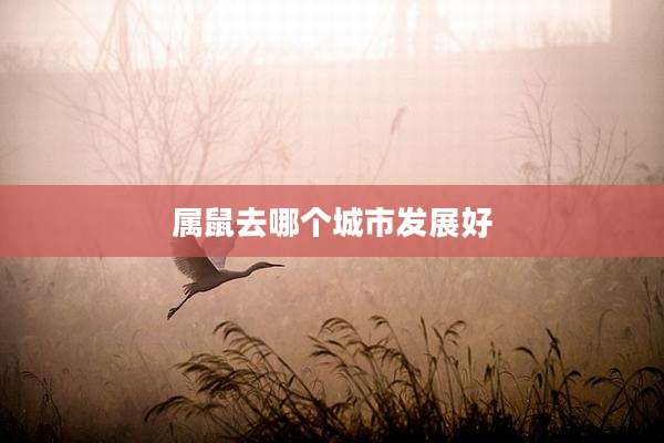 属鼠去哪个城市发展好