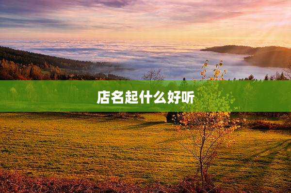 店名起什么好听
