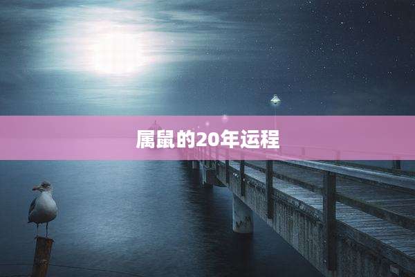 属鼠的20年运程
