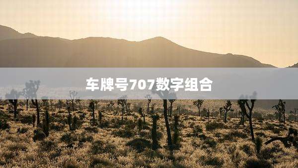 车牌号707数字组合