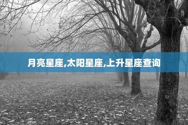 月亮星座,太阳星座,上升星座查询