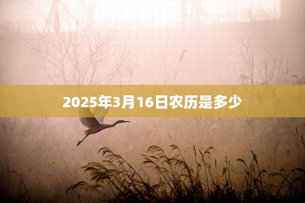 2025年3月16日农历是多少