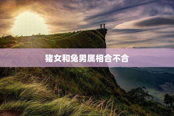 猪女和兔男属相合不合