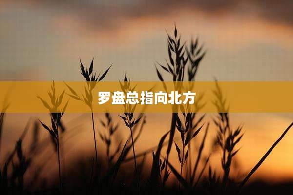 罗盘总指向北方