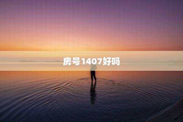 房号1407好吗