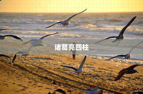 诸葛亮四柱