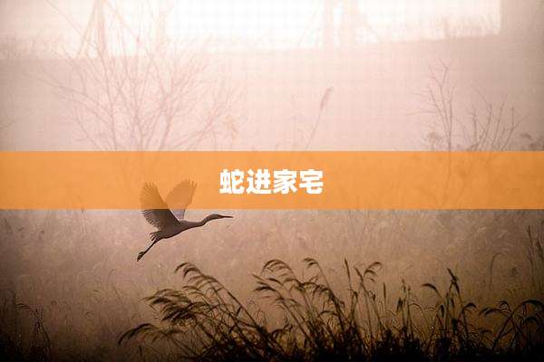蛇进家宅