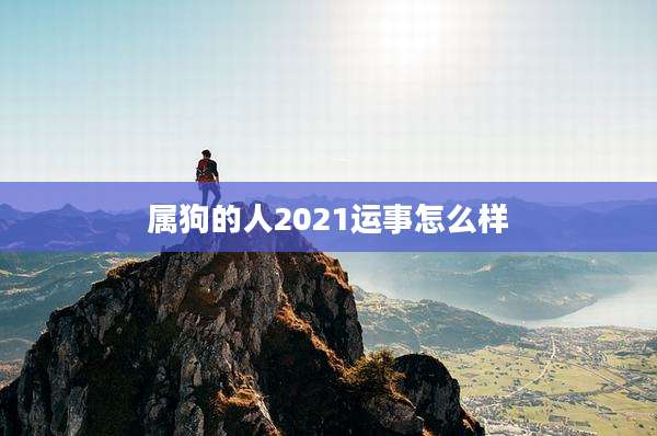 属狗的人2021运事怎么样