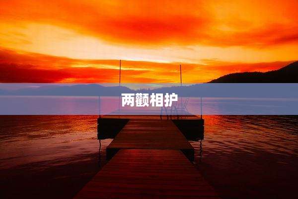 两颧相护
