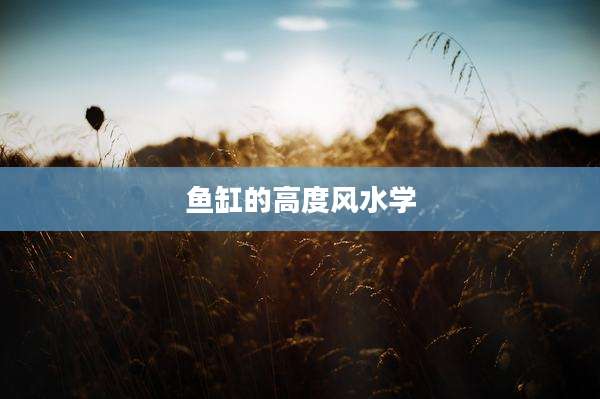 鱼缸的高度风水学
