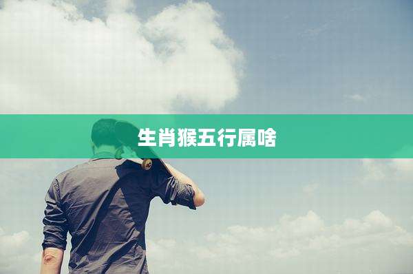 生肖猴五行属啥