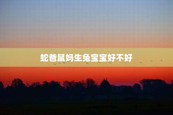蛇爸鼠妈生兔宝宝好不好