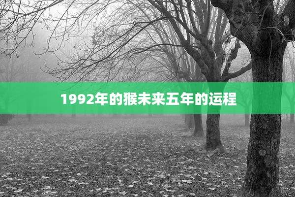 1992年的猴未来五年的运程