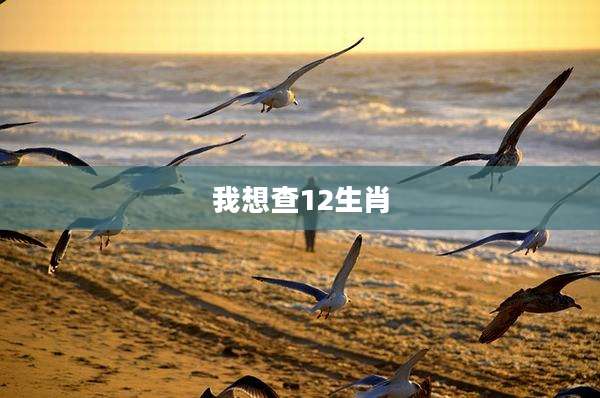 我想查12生肖