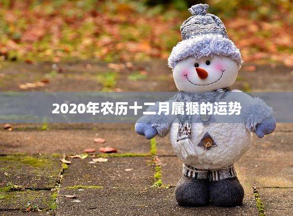 2020年农历十二月属猴的运势