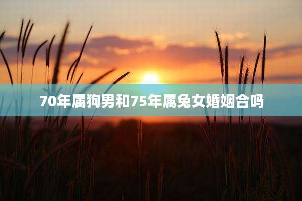 70年属狗男和75年属兔女婚姻合吗