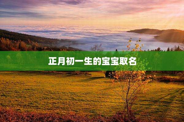 正月初一生的宝宝取名