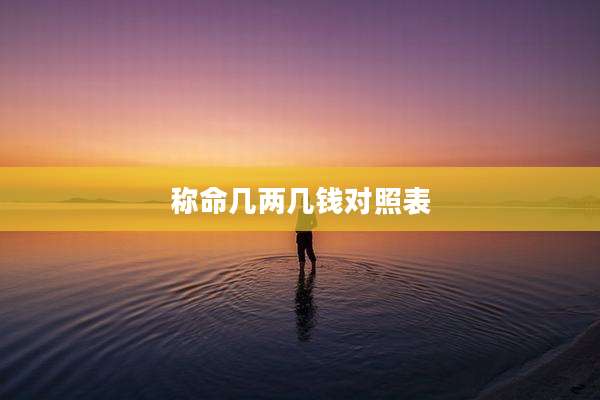 称命几两几钱对照表