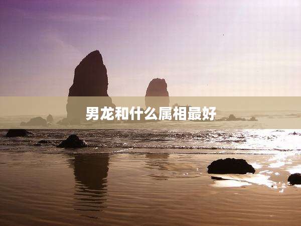 男龙和什么属相最好
