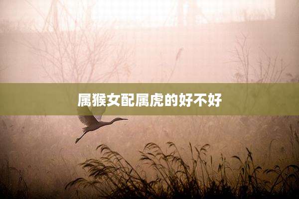 属猴女配属虎的好不好