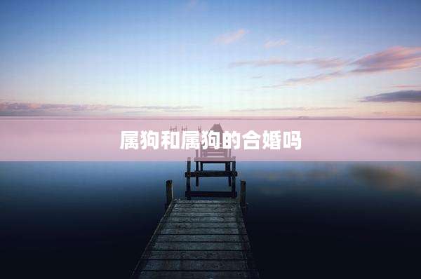 属狗和属狗的合婚吗