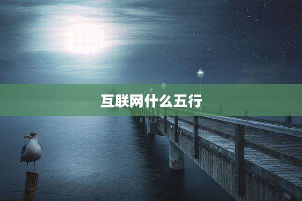 互联网什么五行