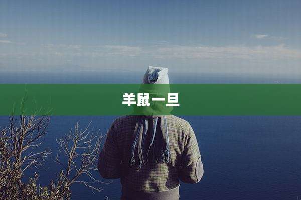羊鼠一旦