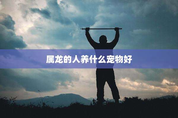 属龙的人养什么宠物好