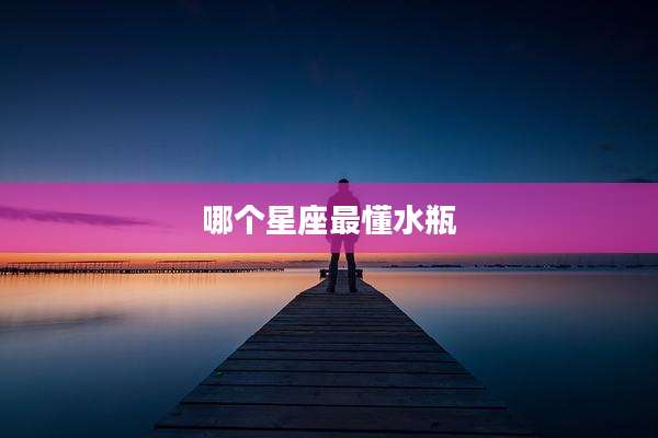 哪个星座最懂水瓶