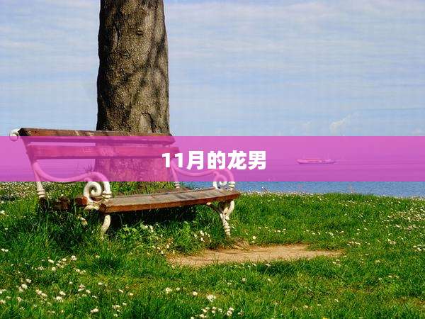 11月的龙男
