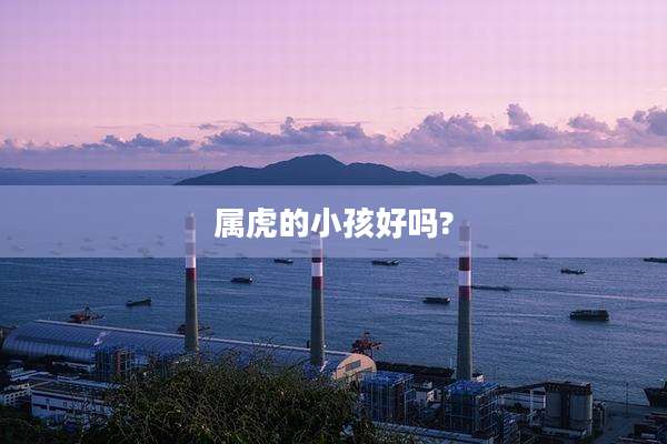 属虎的小孩好吗?