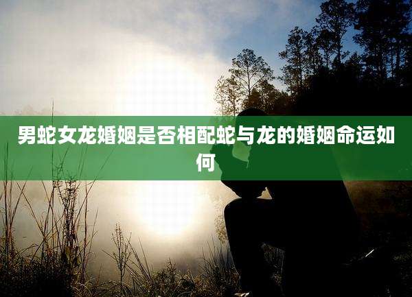 男蛇女龙婚姻是否相配蛇与龙的婚姻命运如何