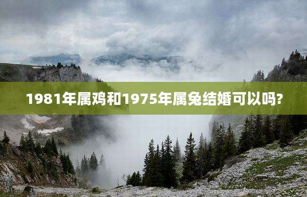 1981年属鸡和1975年属兔结婚可以吗?