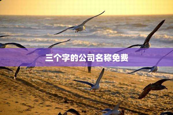 三个字的公司名称免费