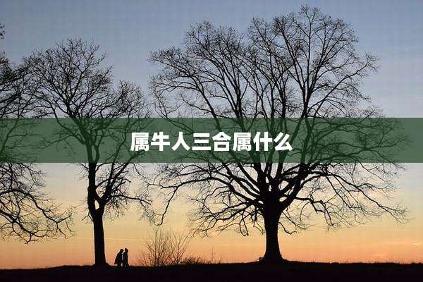 属牛人三合属什么