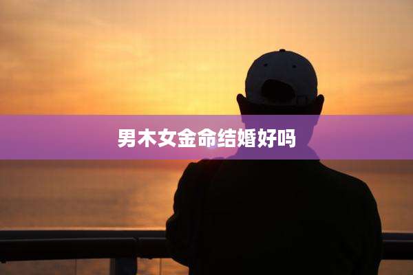 男木女金命结婚好吗