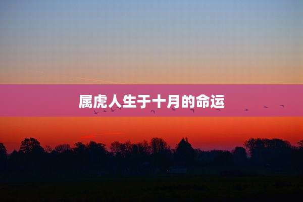 属虎人生于十月的命运